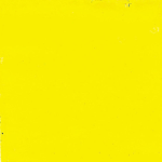 YELLOW CLIQUE