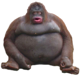 OOO OOO AA AA AAA OOOH OOH AA AA
