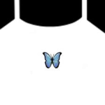 • T-shirt closet •
