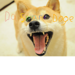 da smart doge