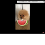 Jackpop01213