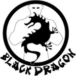 The Black Dragons Karate