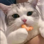 SniperCatz