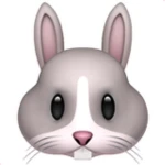 Bunny Obbies Group Thumbnail