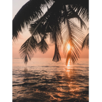 Sunset By The Beach