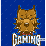 SpikyDudeGaming Fan Group