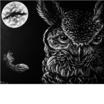 The Dark Owl Empire