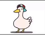 THE DUCKY UNION