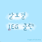 살보결 IEG 클랜