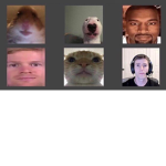 the dumb friend group