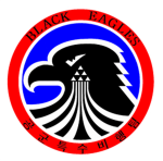 Black Eagles Elite Fighter Squadron