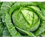 Le UnSeASoNeD CaBBaGeS