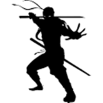 The Black Ninjas of night