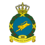 300 Squadron