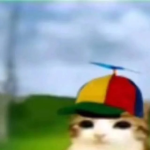 ¿??