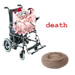 Remilia falls out of a wheelchair