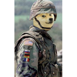 Wardog’s Troops