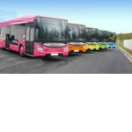compagnie transport sf