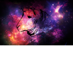 TeamMouton