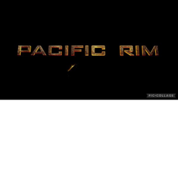 The PACIFIC RIM