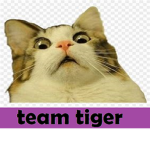TEAM TIGER!!!