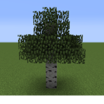 R You Coming To The Tree?