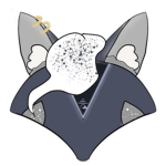 Alpha Fennec Studios