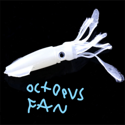 Help The Octopus Escape Obby