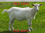 The Goats Pls Join