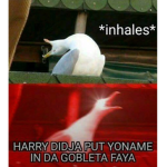 *~Hogwarts is my Home~*