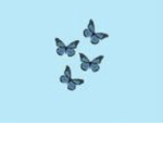 M’s butterflies