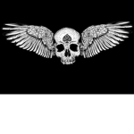 . The Angels Of Death .