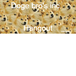 Doge bro's inc hangout