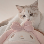 meowlodys