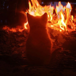 The flame worship community