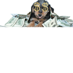 Savage Dogs