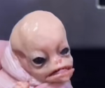 Chicken nugget group YT