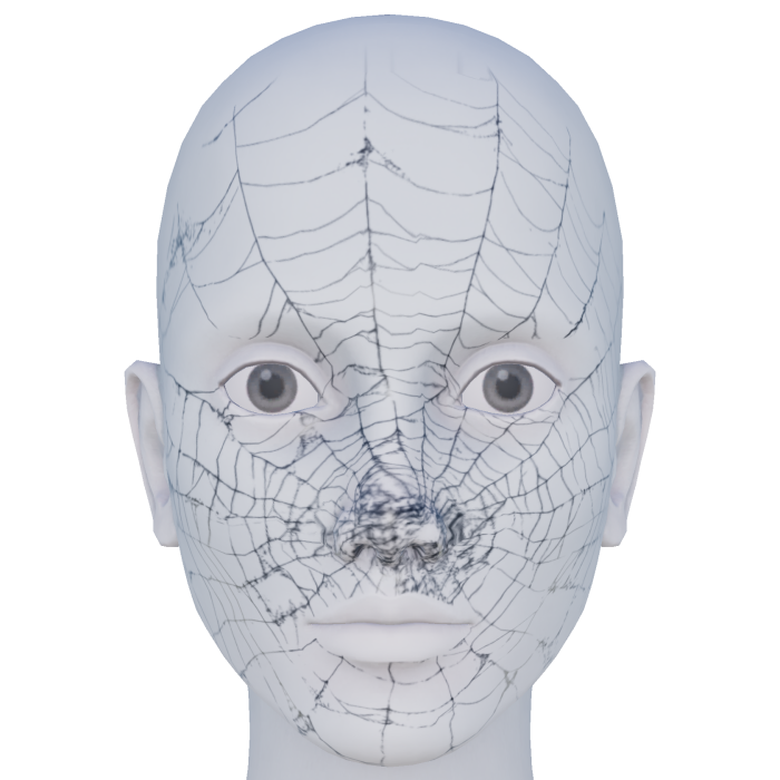 Halloween Spider Web on Face