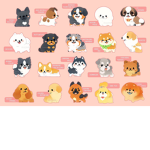 Dogs nature world