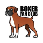 The boxer doggy’s