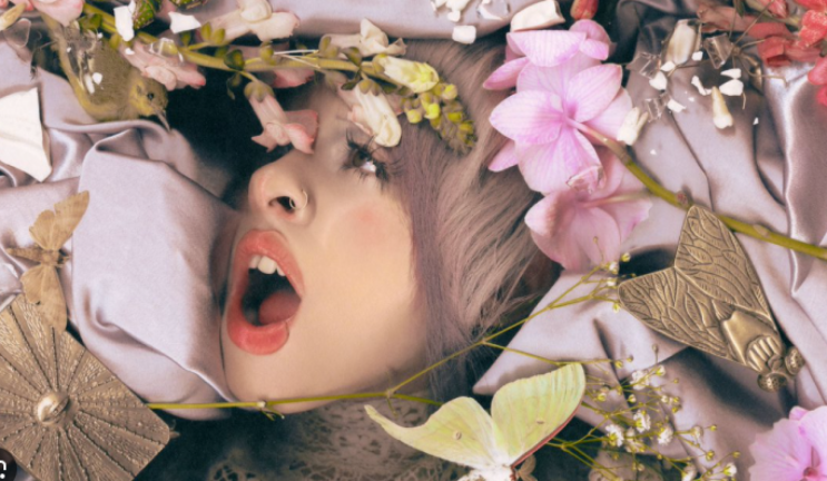 Melanie Martinez Obby (ALL ALBUMS) screenshot 1