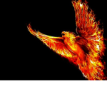 flaming birds