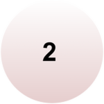 Win mission Z2 with a difficulty level of 2