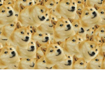 Skitle dogeeeee