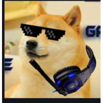 Doge gamers we want you