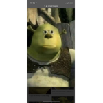 Shrek1248