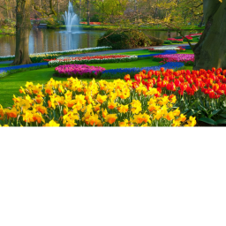 spring!