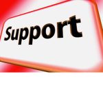 The Support Team