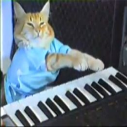 Keyboard_cat Roblox decal
