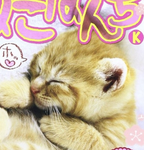 CATS MIEMBROS <33